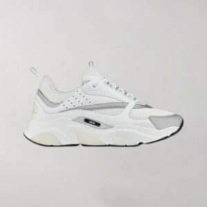 Dior B22 White Silver