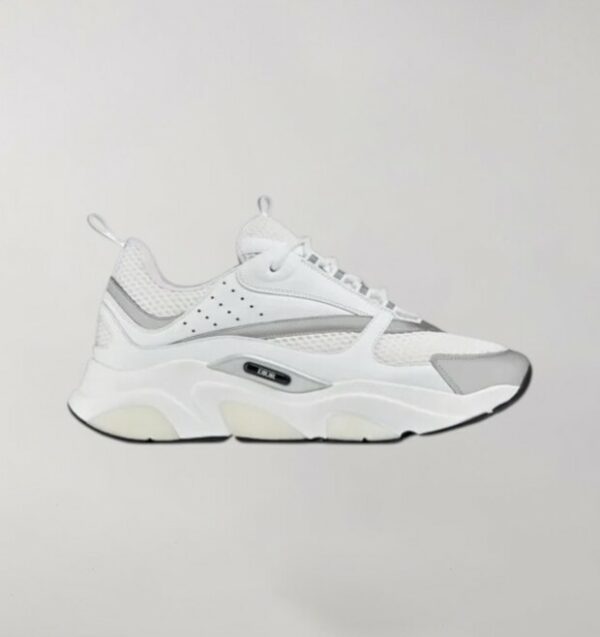Dior B22 White Silver