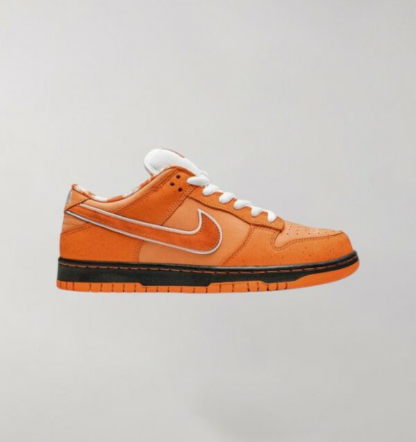 Nike Dunk Concepts Orange Lobster