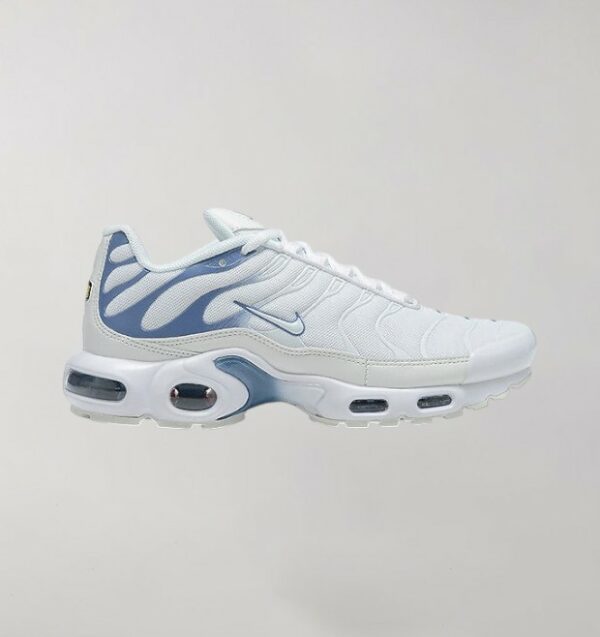 Nike Air Max Plus Ashen Slate