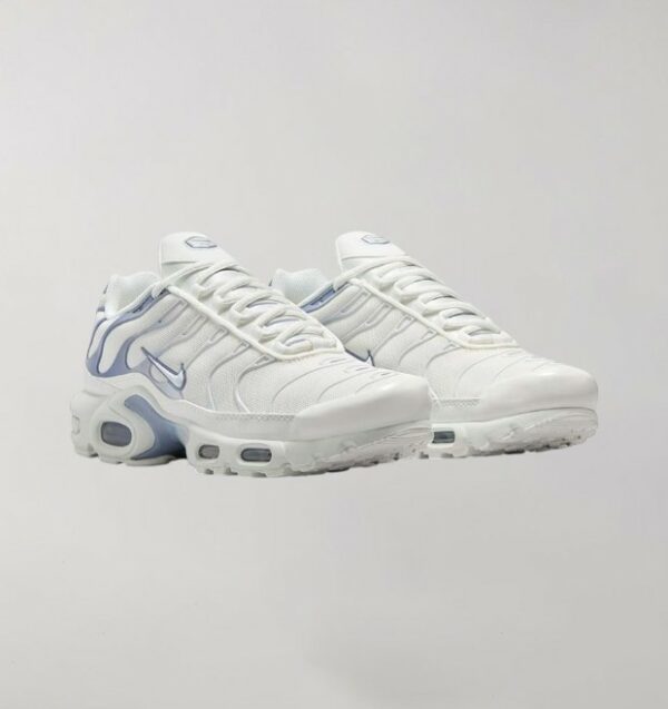 Nike Air Max Plus Ashen Slate - Image 2