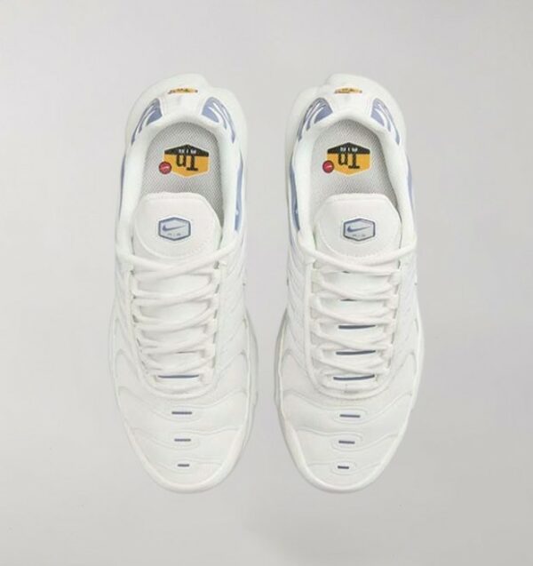 Nike Air Max Plus Ashen Slate - Image 3