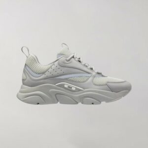 Dior B22 Grey