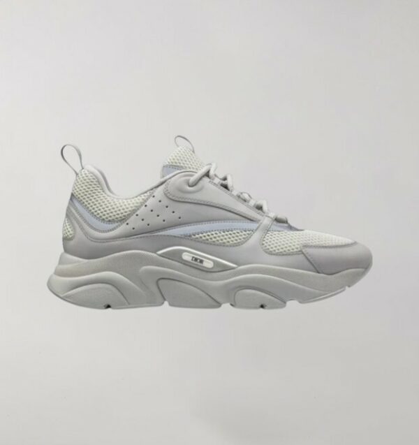 Dior B22 Grey