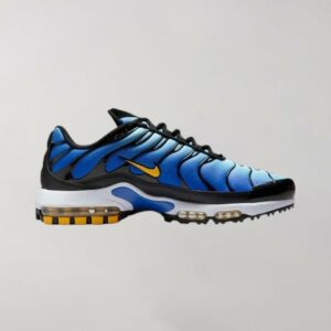 Nike Air Max Plus Blue