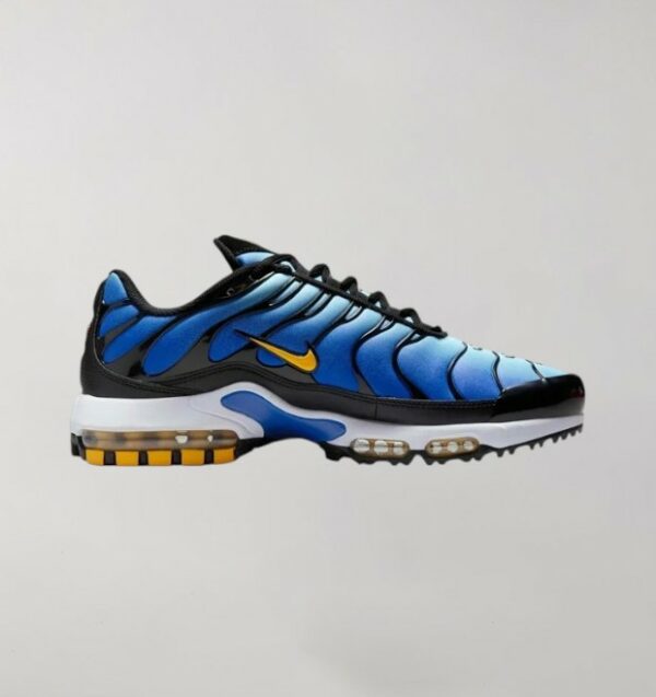 Nike Air Max Plus Blue