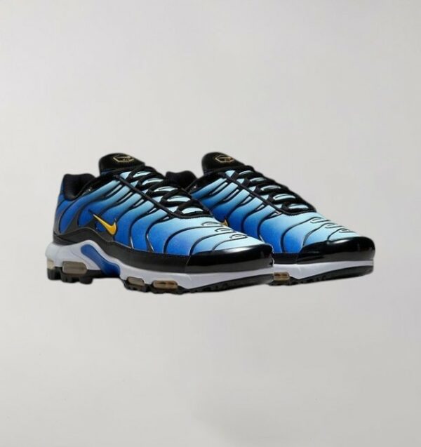 Nike Air Max Plus Blue - Image 2