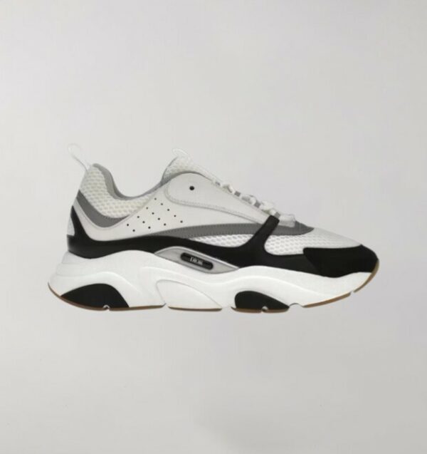 Dior B22 White Black Gum
