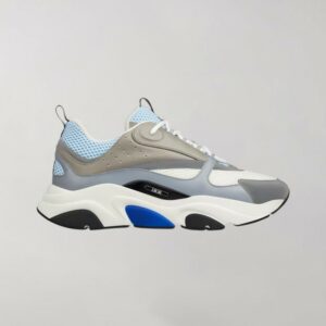 Dior B22 White Blue
