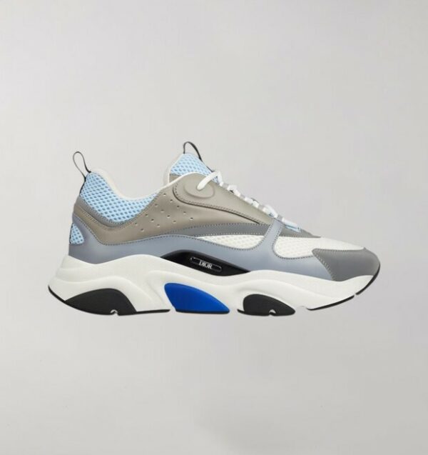 Dior B22 White Blue