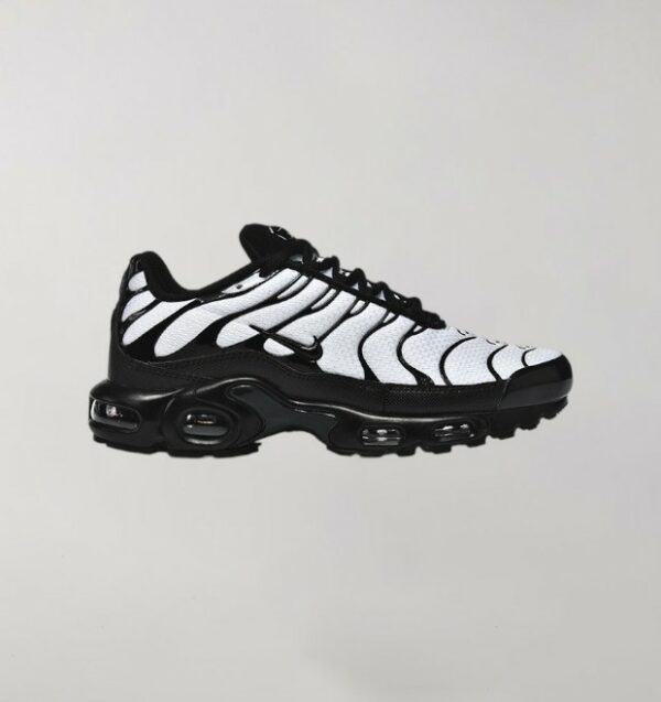 Nike Air Max Plus White Oreo